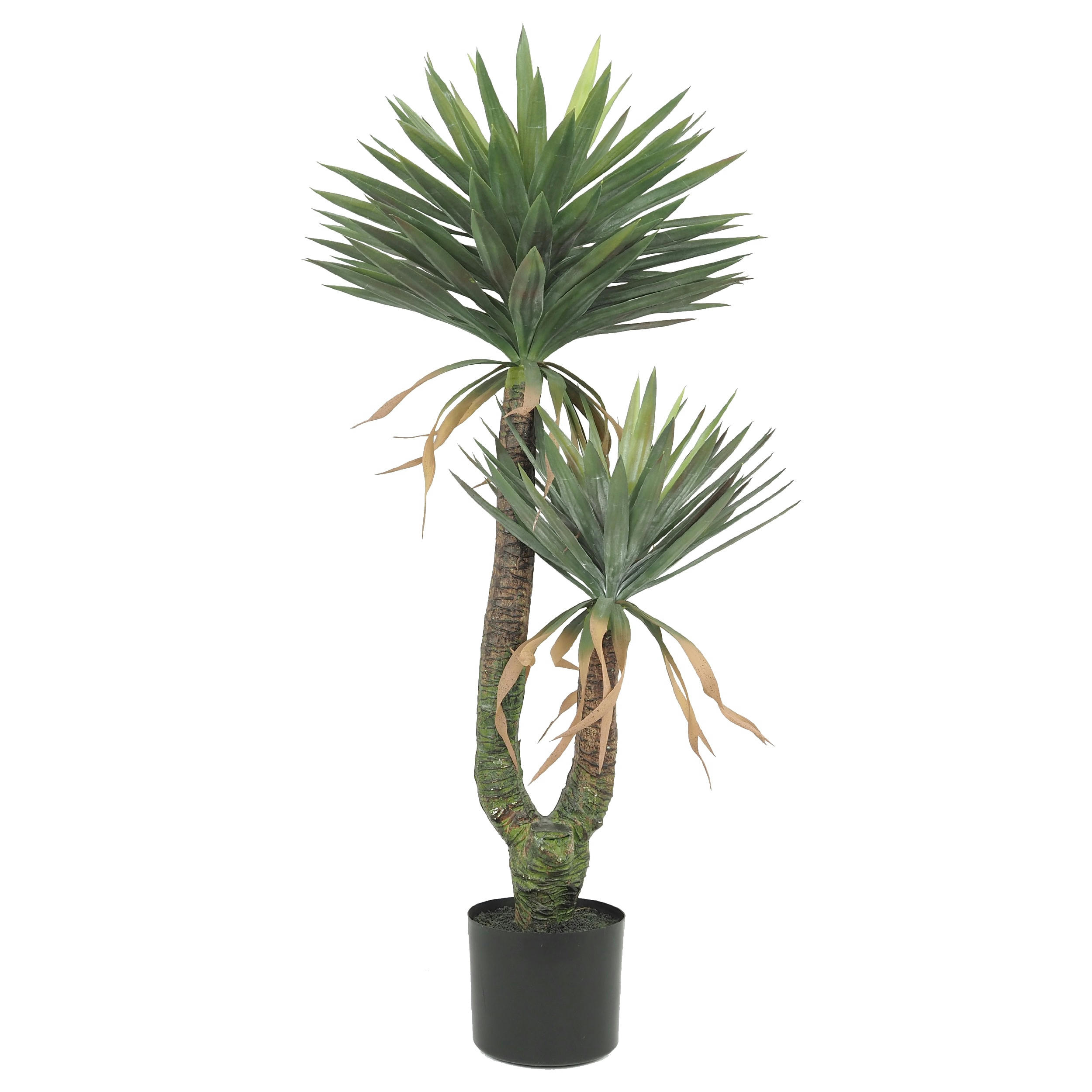 - Yucca artificiel 2 troncs 150cm