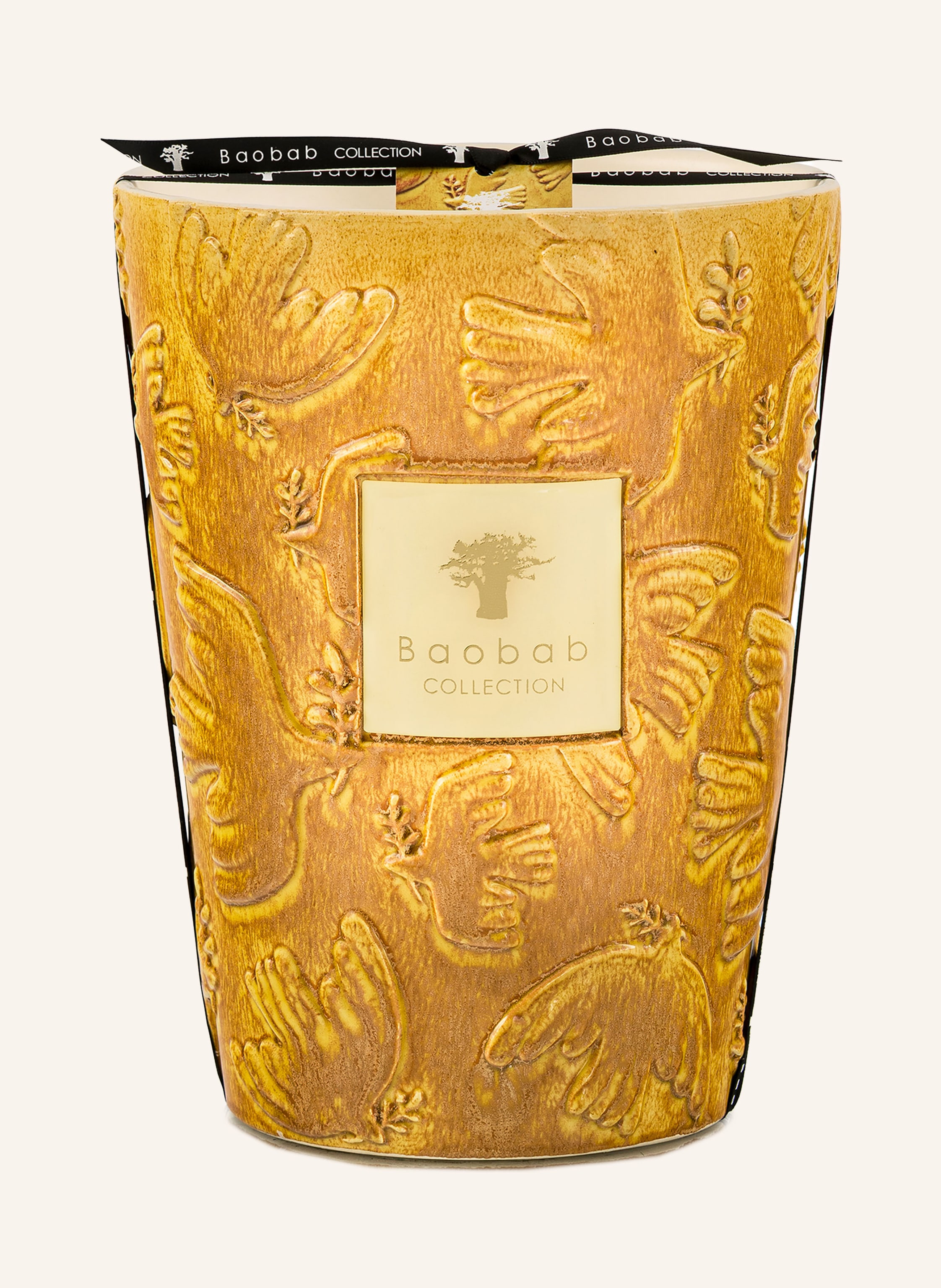 Baobab COLLECTION Duftkerze PAZ DOVE