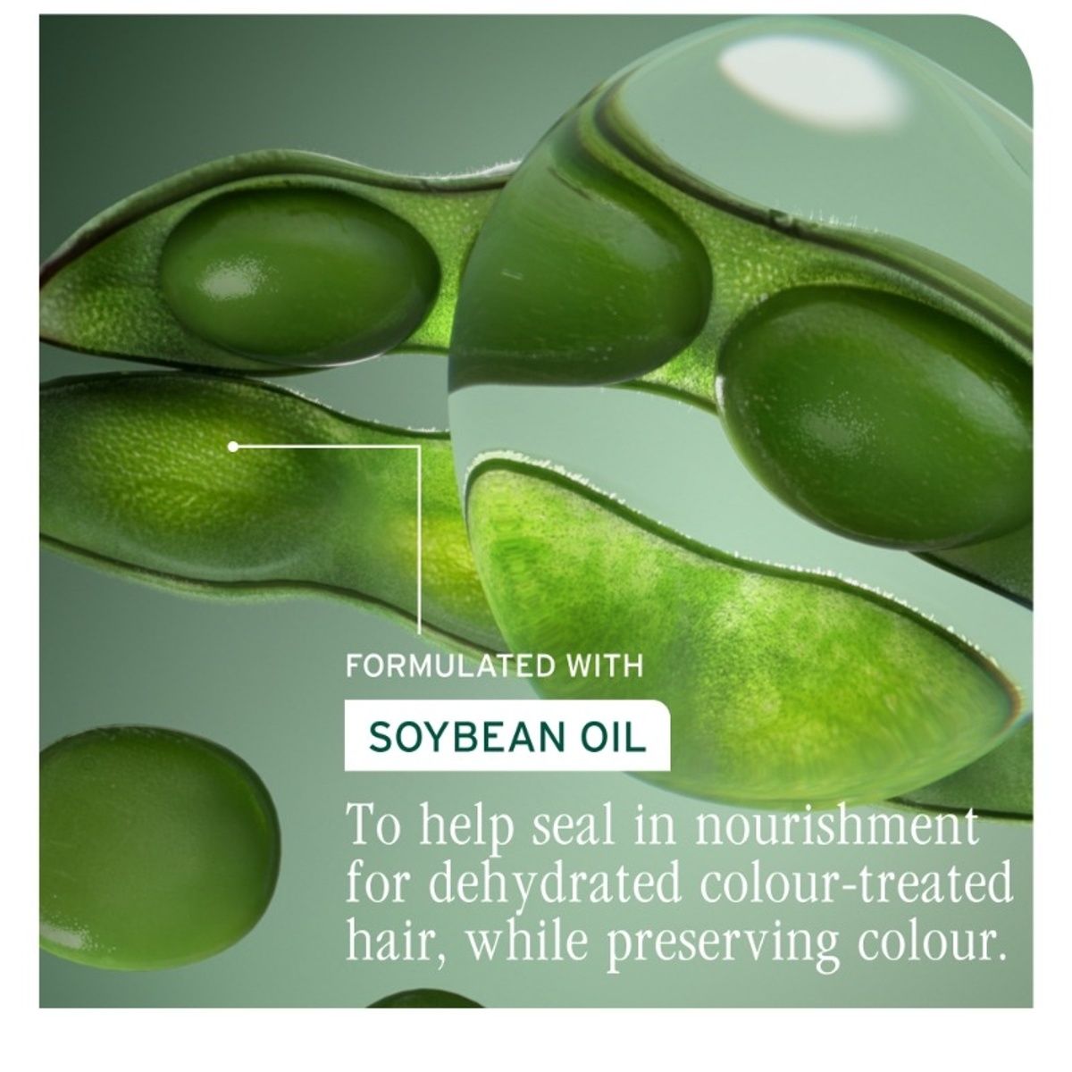 BIOLAGE Colorlast Conditioner