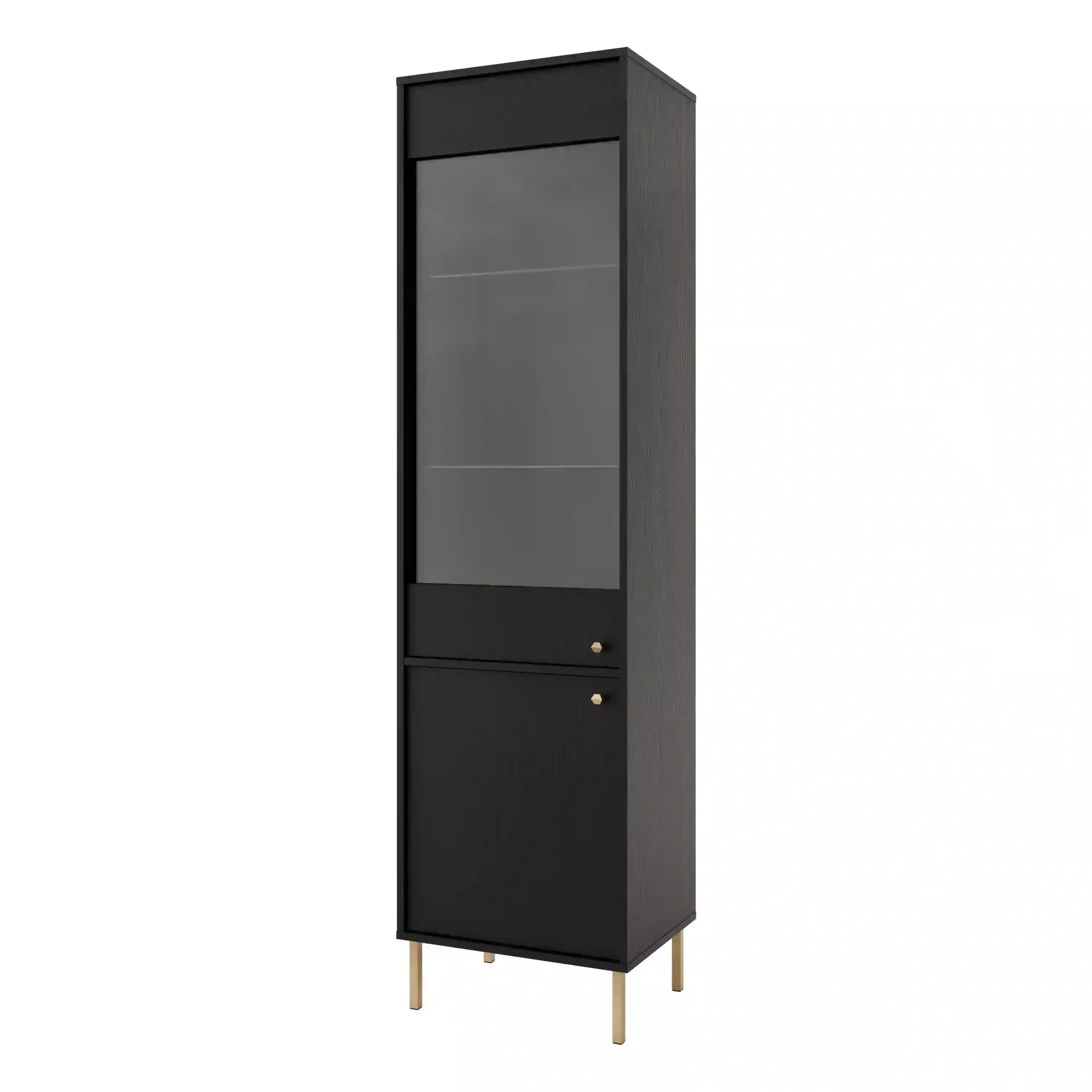 Witryna szklana do salonu Sakai 2 2F T101 Czarny