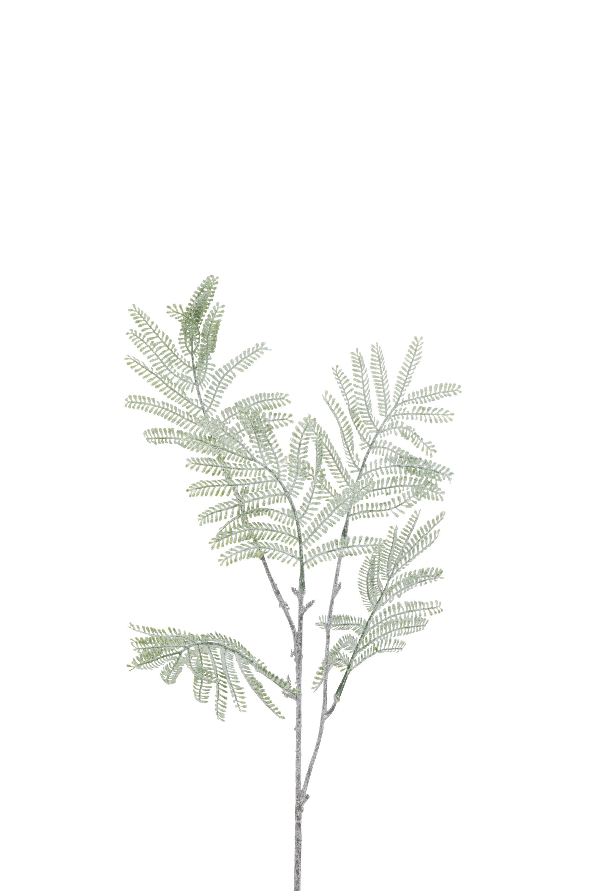 J-Line decoratie Tak Mimosa - kunststof - groen - 12 stuks