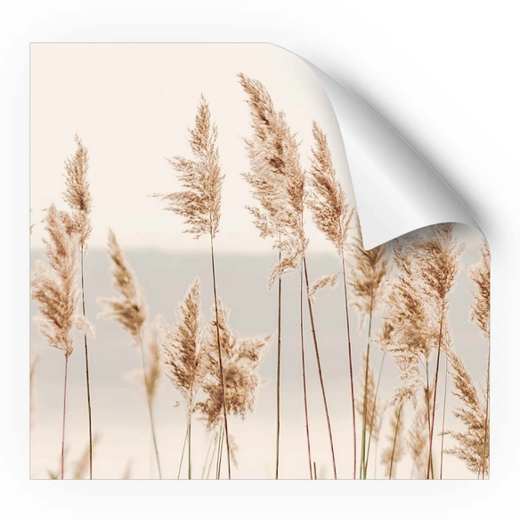 Vliestapete »Sebi«, KornBlumen, weiß/beige, matt