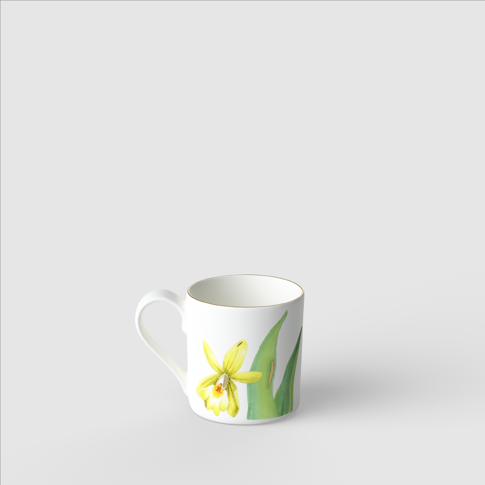 Amazonia Espresso cup - Multi-colored, 2.1 oz, Premium Bone Porcelain