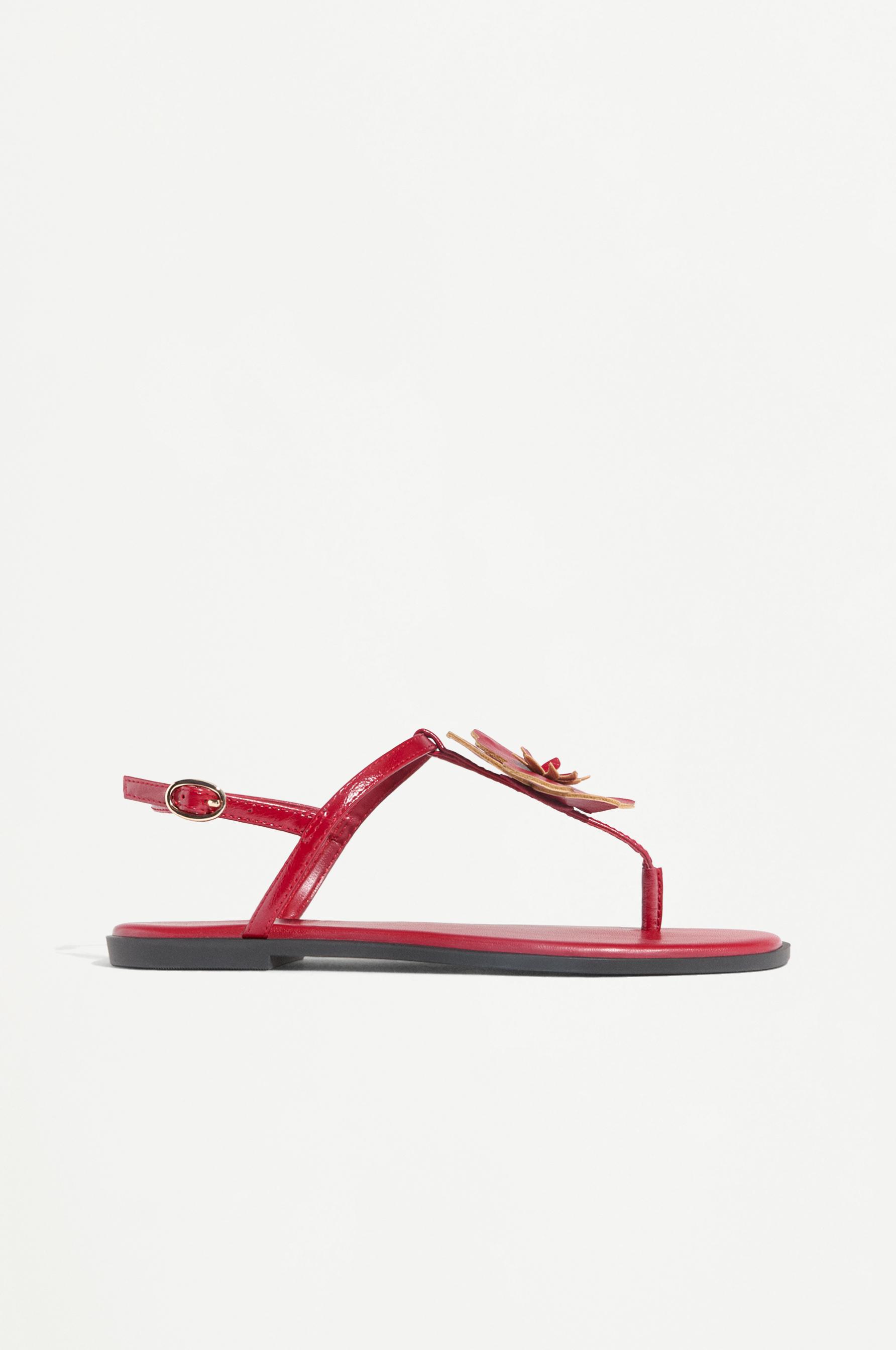 Sandalia plana flor