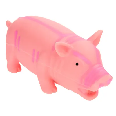 Grunting Latex Squeaker Pig Toy