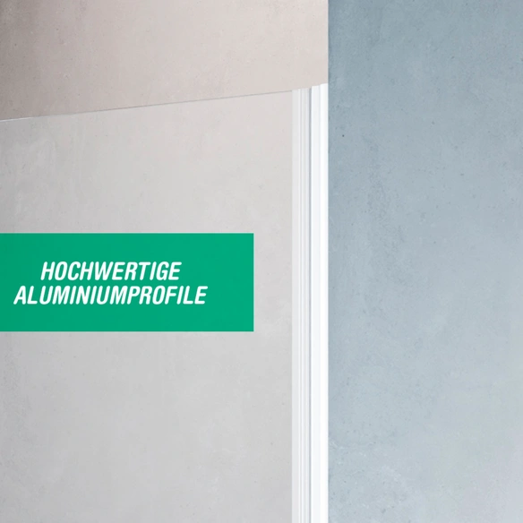 Drehtür, Höhe: 195 cm, edelsilber, Scheibenstärke: 6 mm