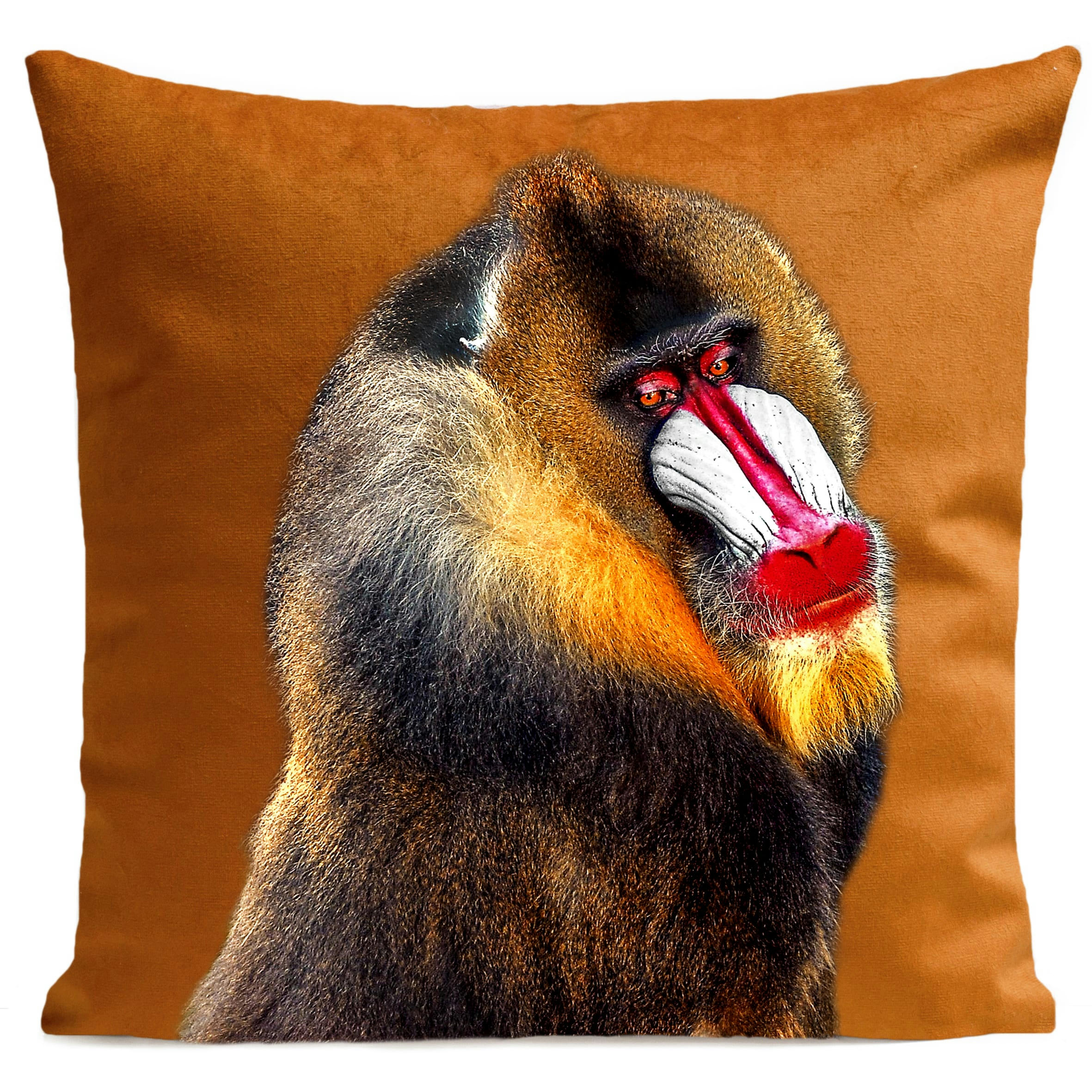 - Coussin tropical singe suédine orange 40x40cm