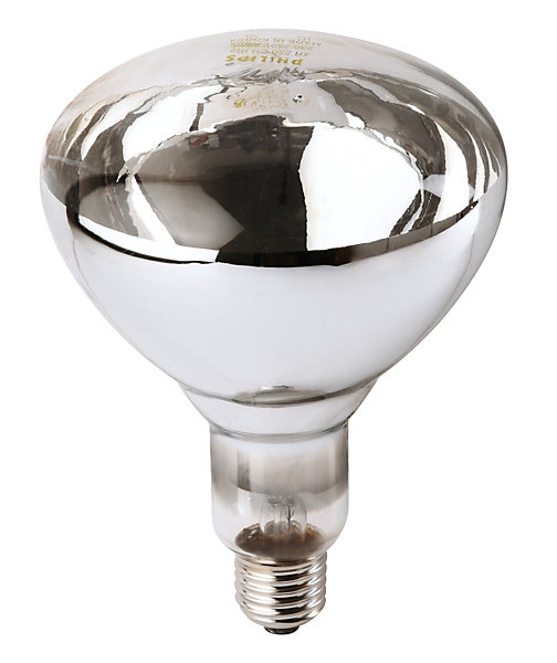 Ampoule PHILIPS IR à vis blanche 250W