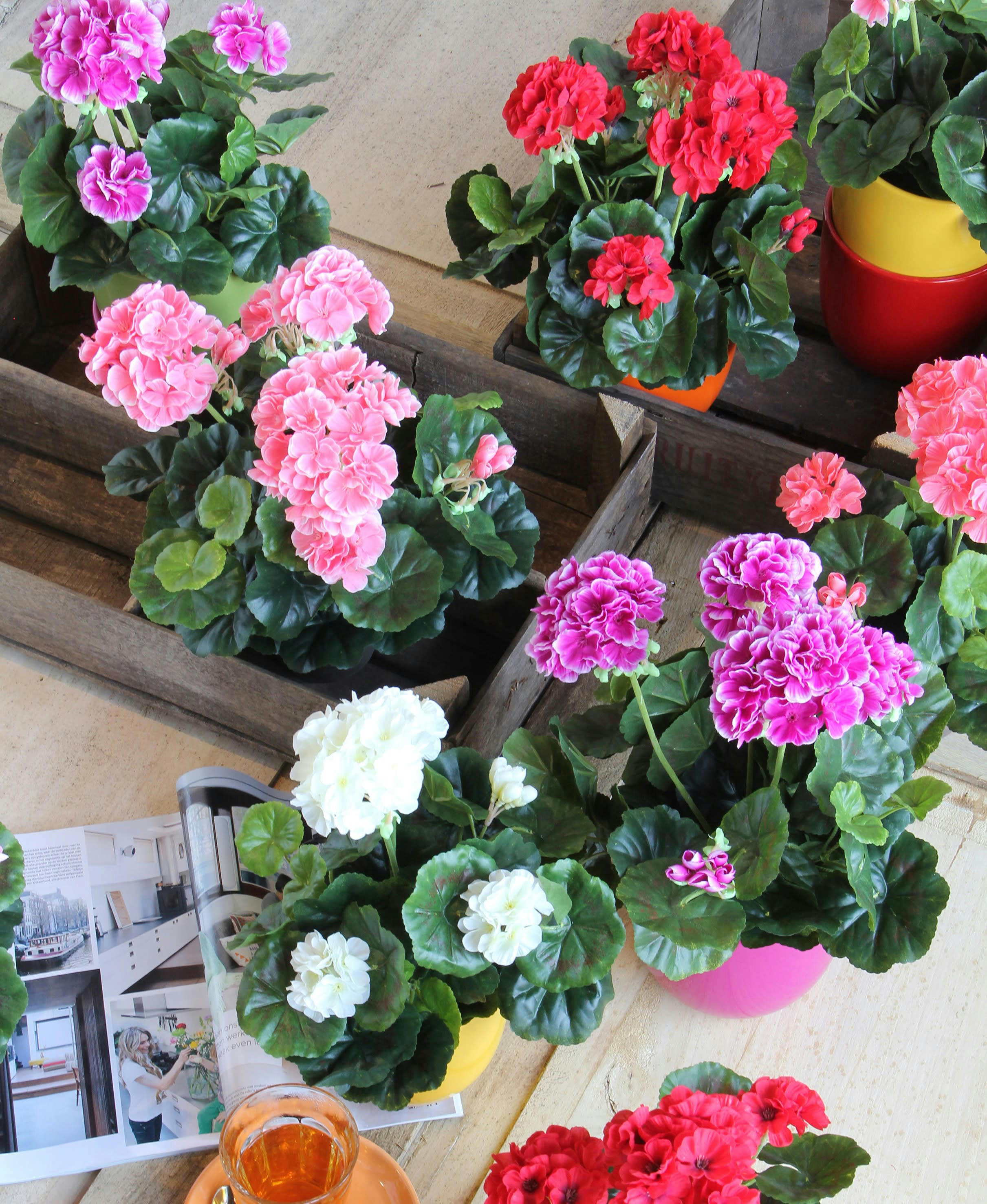 - Géranium artificielle rose en pot H34