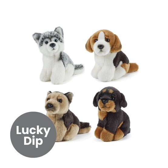 Assorted Miniature Dog Plush Toy