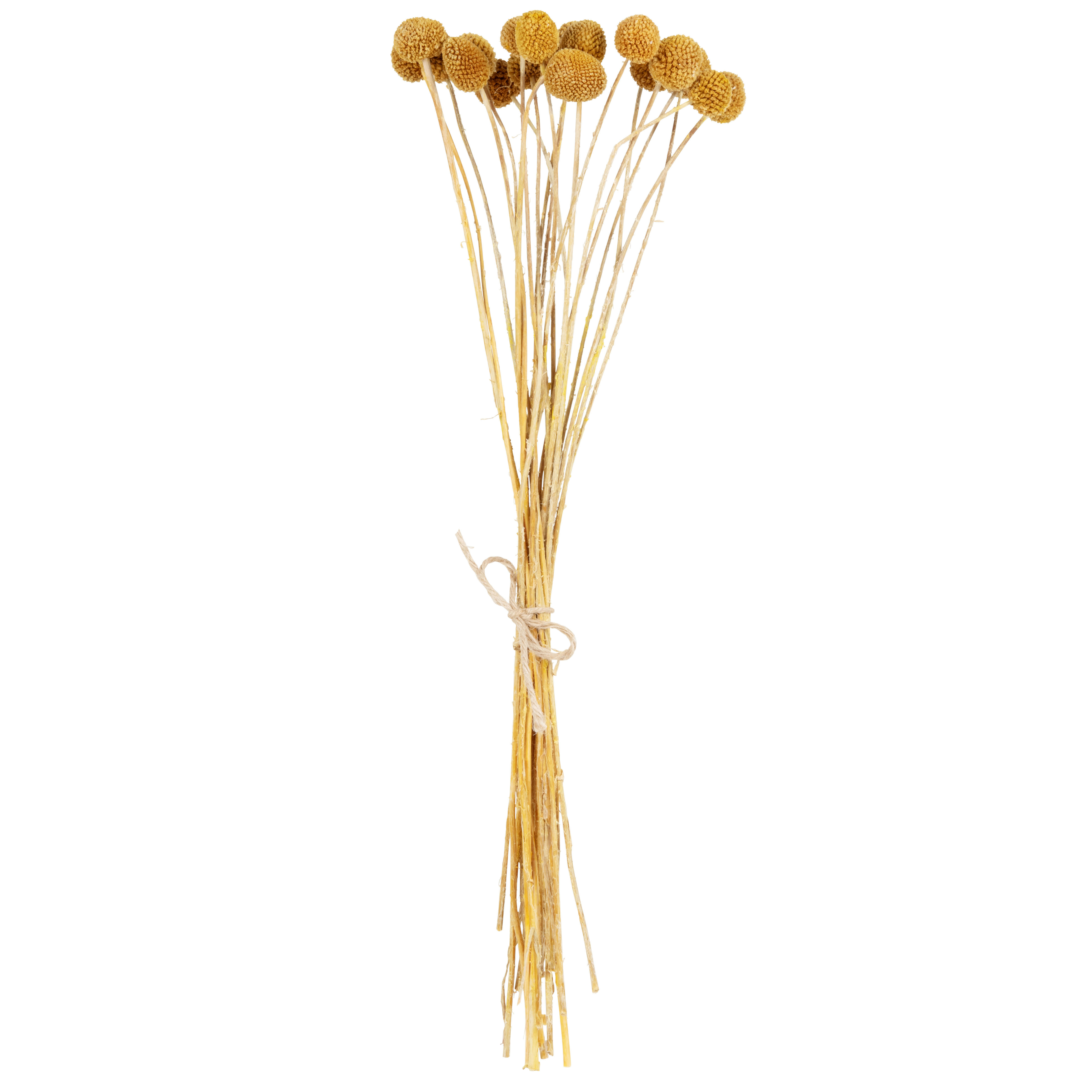 IZAN - Bouquet de fleurs séchées ocres