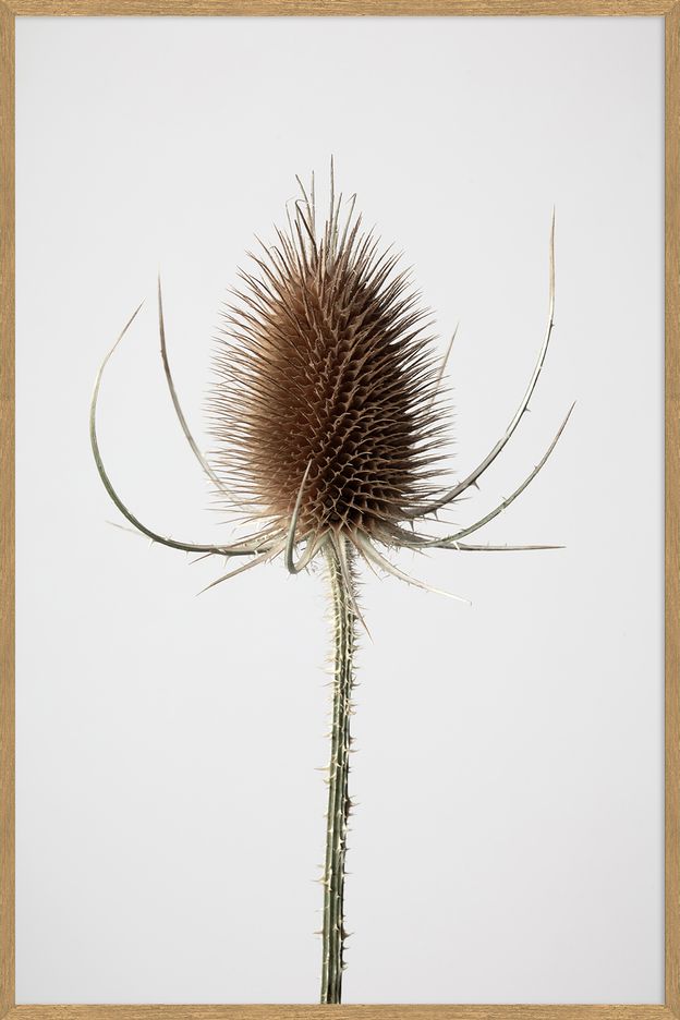 QUADRO JOIA NATURAL III 80 CM X 1,20 M