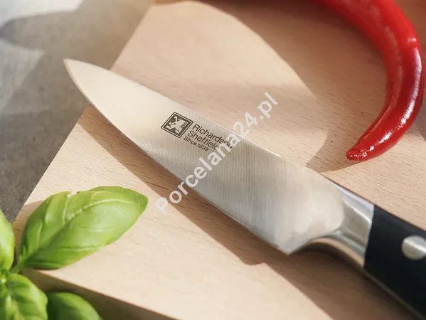 Komplet noży kuchennych (6el) w bloku Amefa / Richardson Sheffield - GRAND CHEF 1A.RS.GRCH.K5