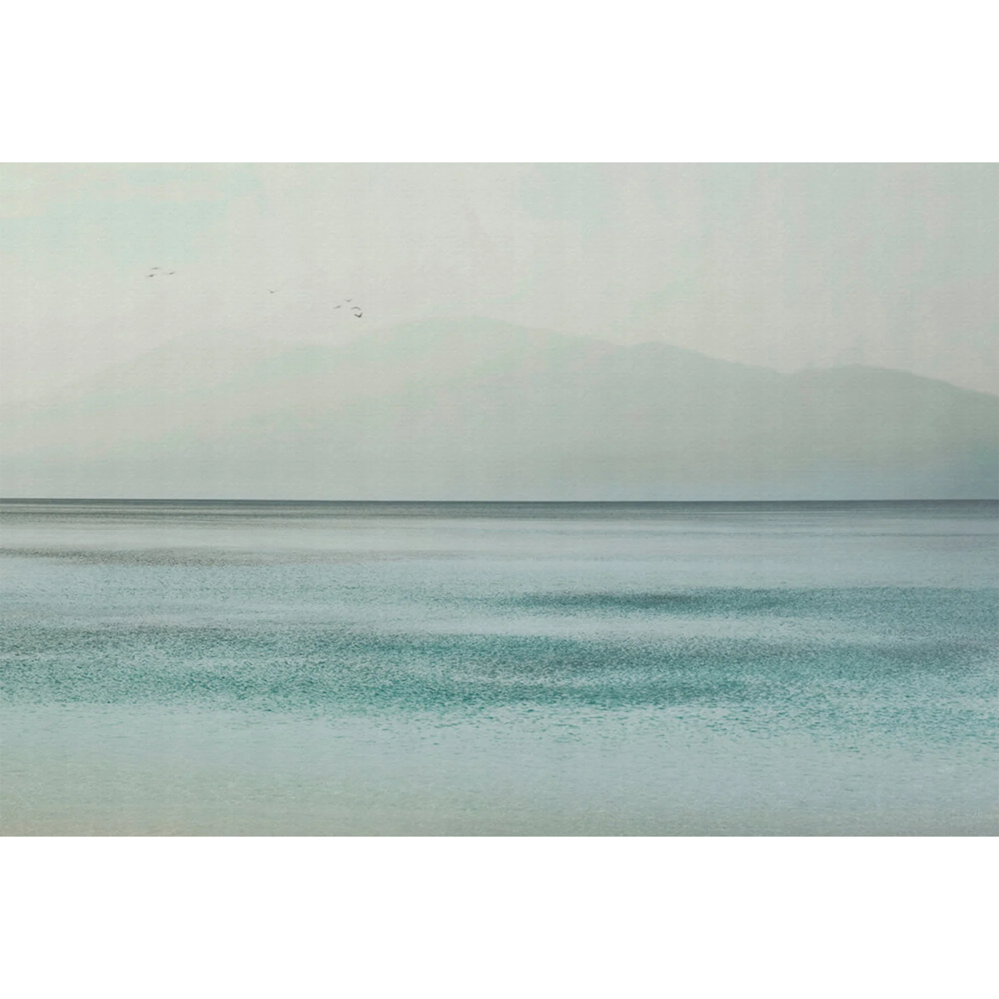 Papier peint panoramique XL BREEZE 400 x 270 cm