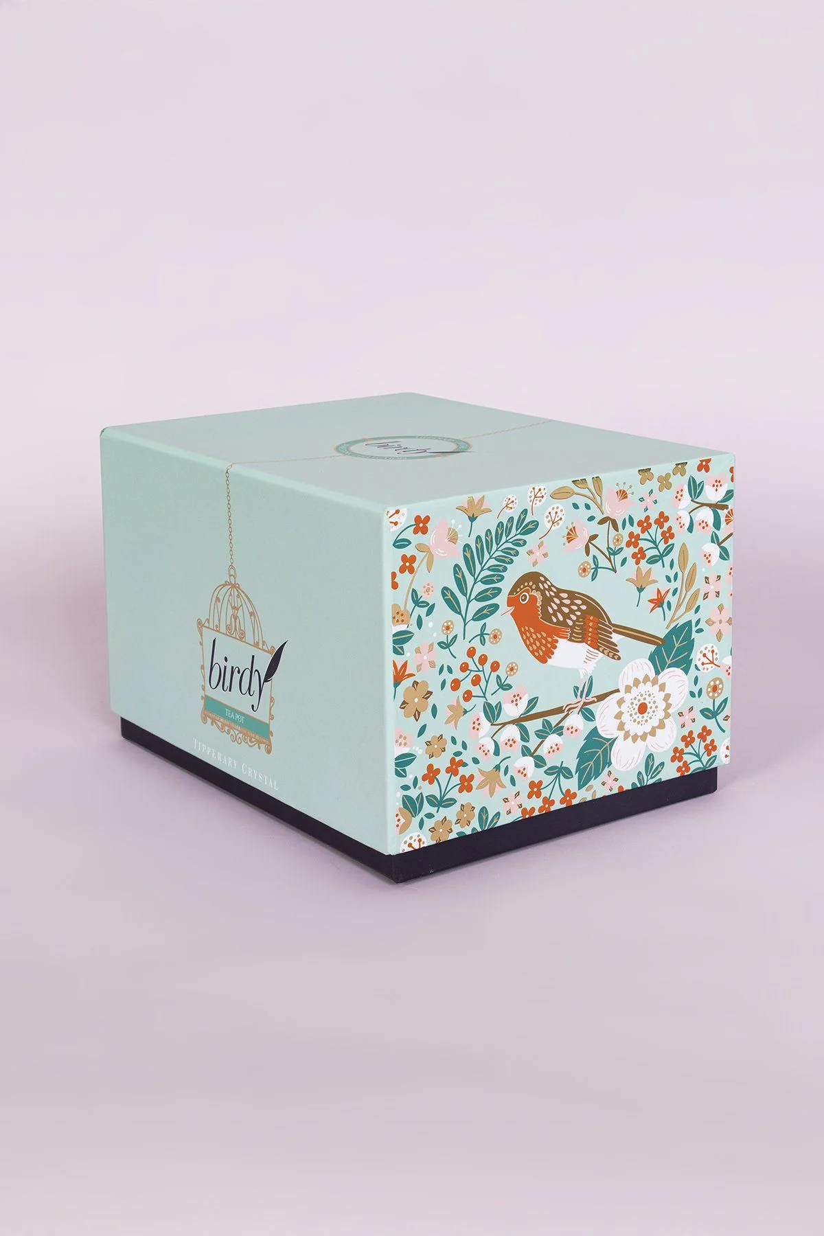 Birdy Robin & Blue Tit Teapot