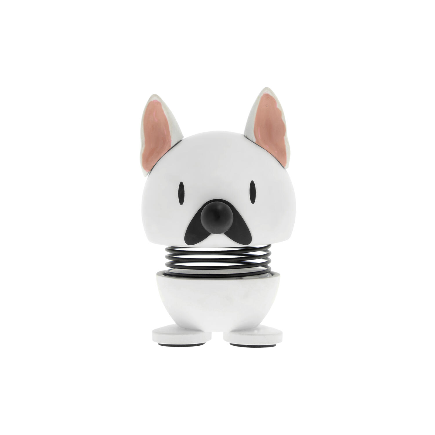 French bulldog, white
