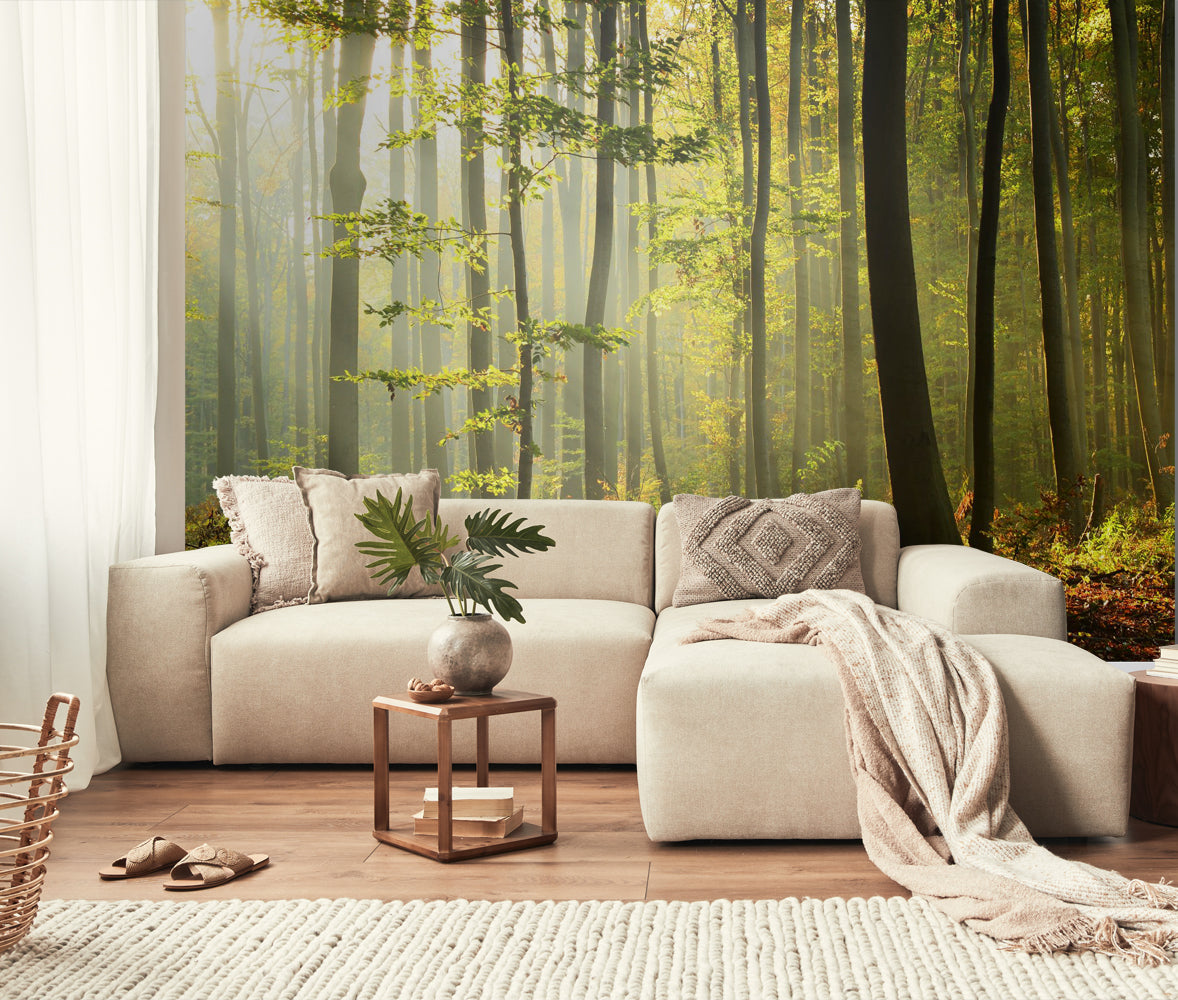 Sanders & Sanders fotobehang bosrijk landschap groen - 300 x 279 cm - 950032