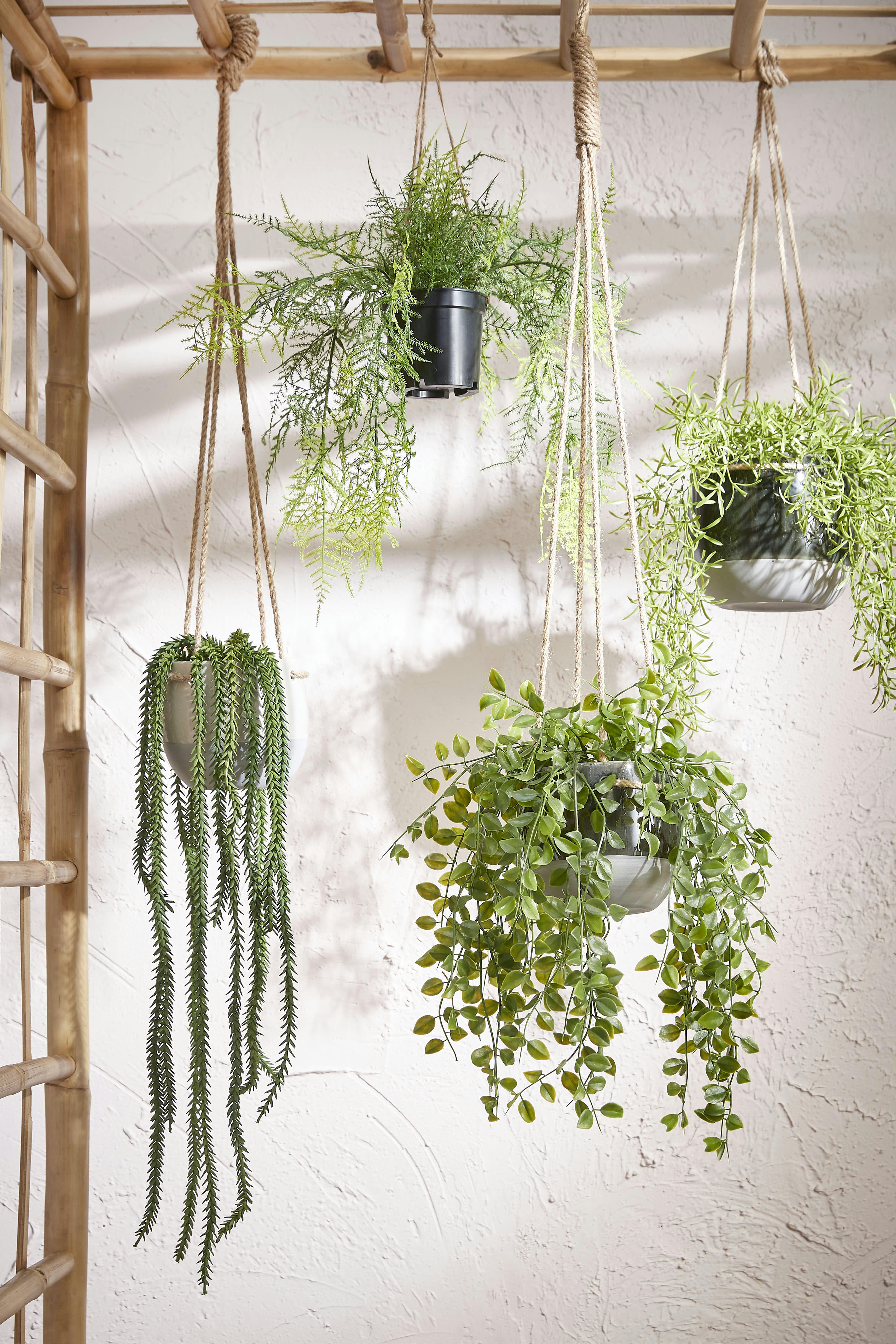 - Ficus artificielle vert en pot H46