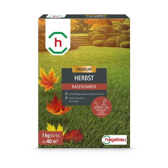 Rasen, Rasensamen Herbstrasen 1,0Kg Karton für 40 m2