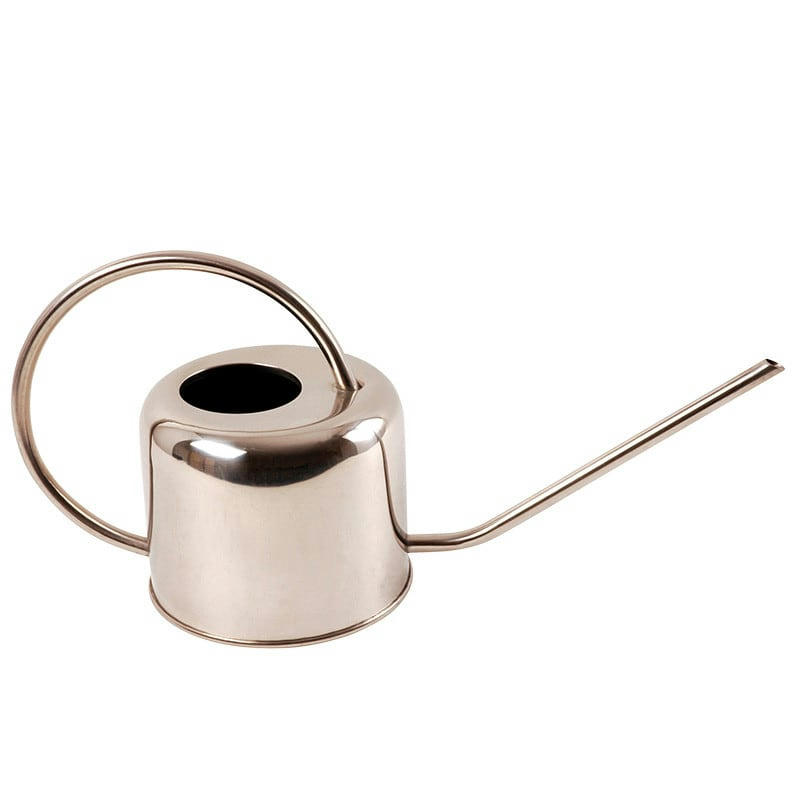 - Arrosoir d'intérieur en inox