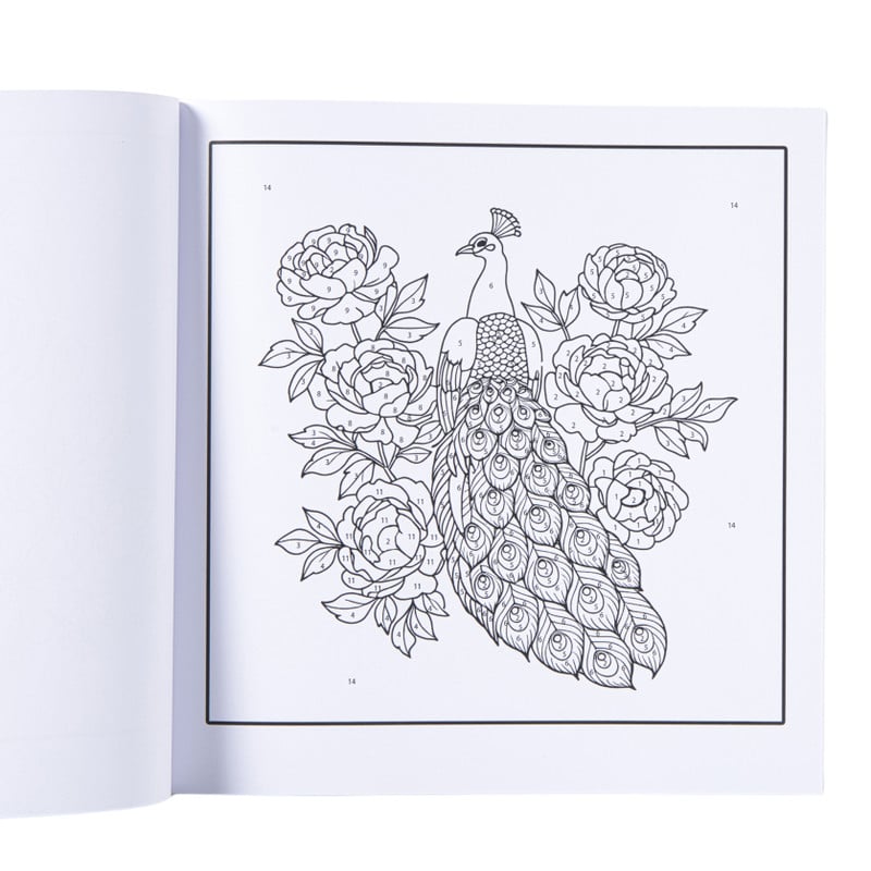 Kleurboek op nummer dieren - 20x20 cm