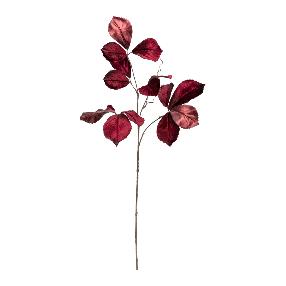 Dekozweig Exotica