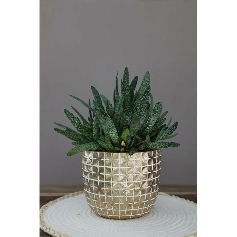Ideas4Seasons Bloempot ruit motief Hanoi - goud - D14 x H12 cm