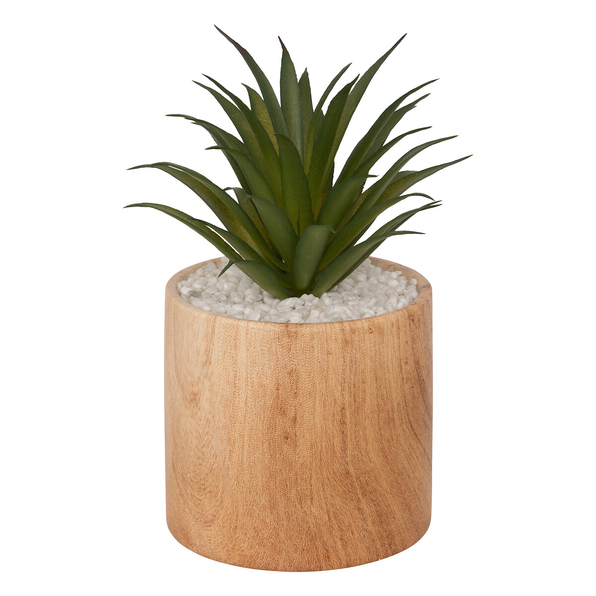 Artificial plant "Sao" Brown, H.17 cm