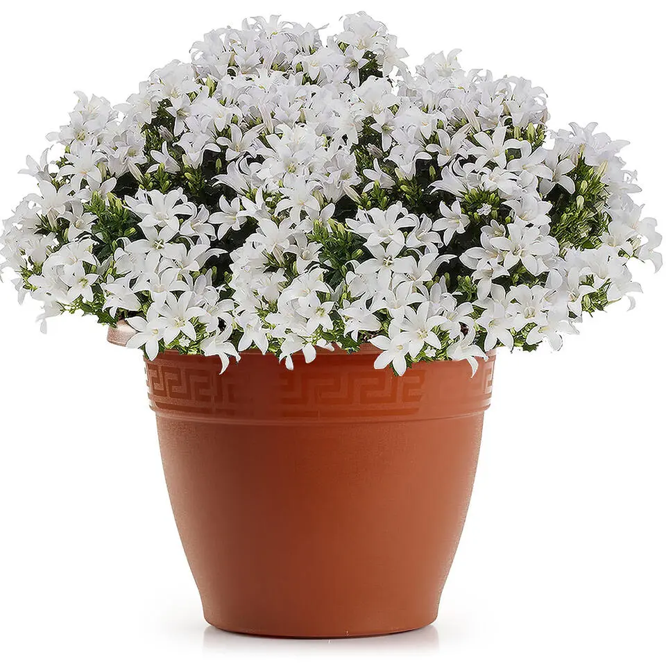 Forte Plastics Bloempot - terracotta - kunststof - 45 cm