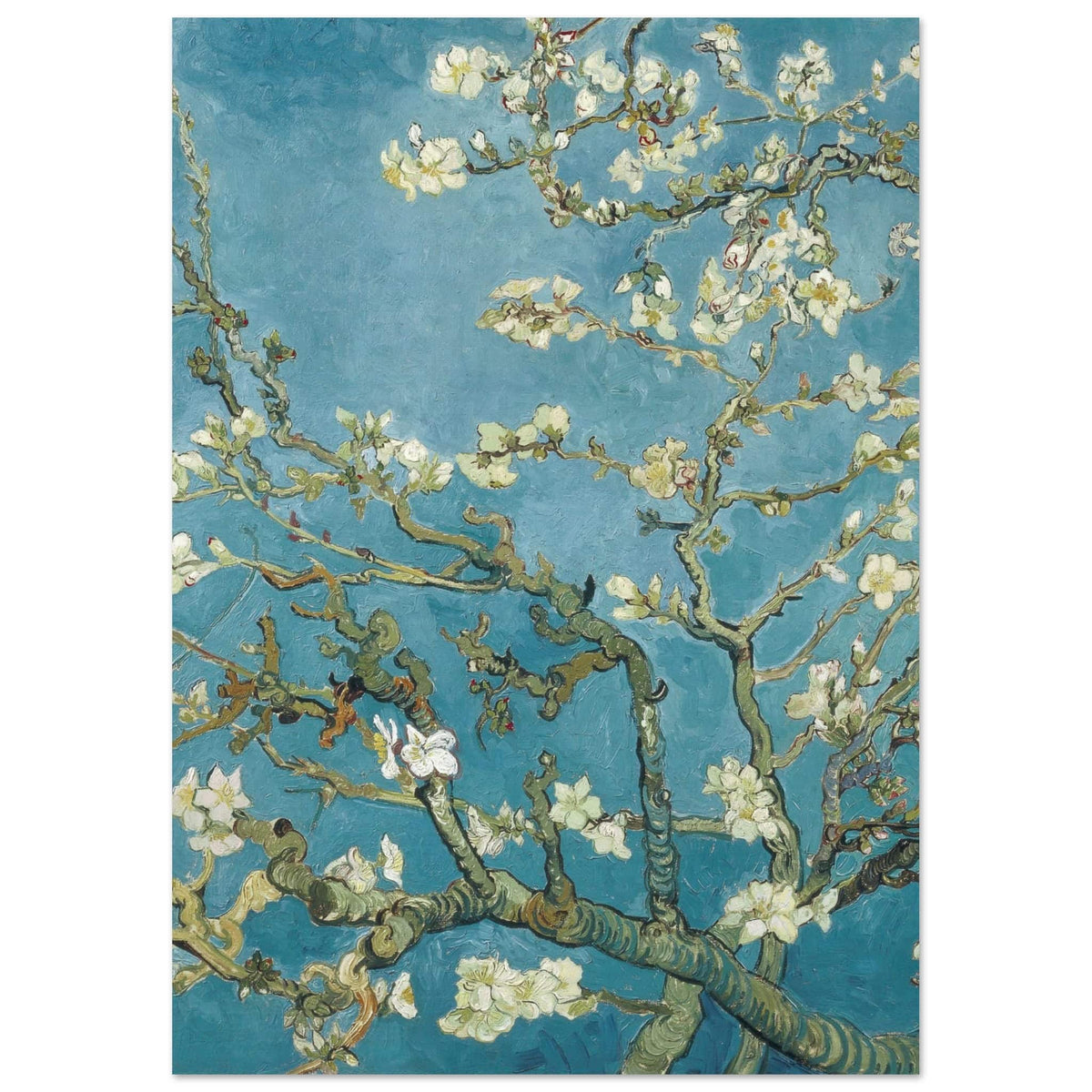 Artfulprints Poster Vincent van Gogh - Amandelbloesem  - A4 21x29.7 cm - Blauw