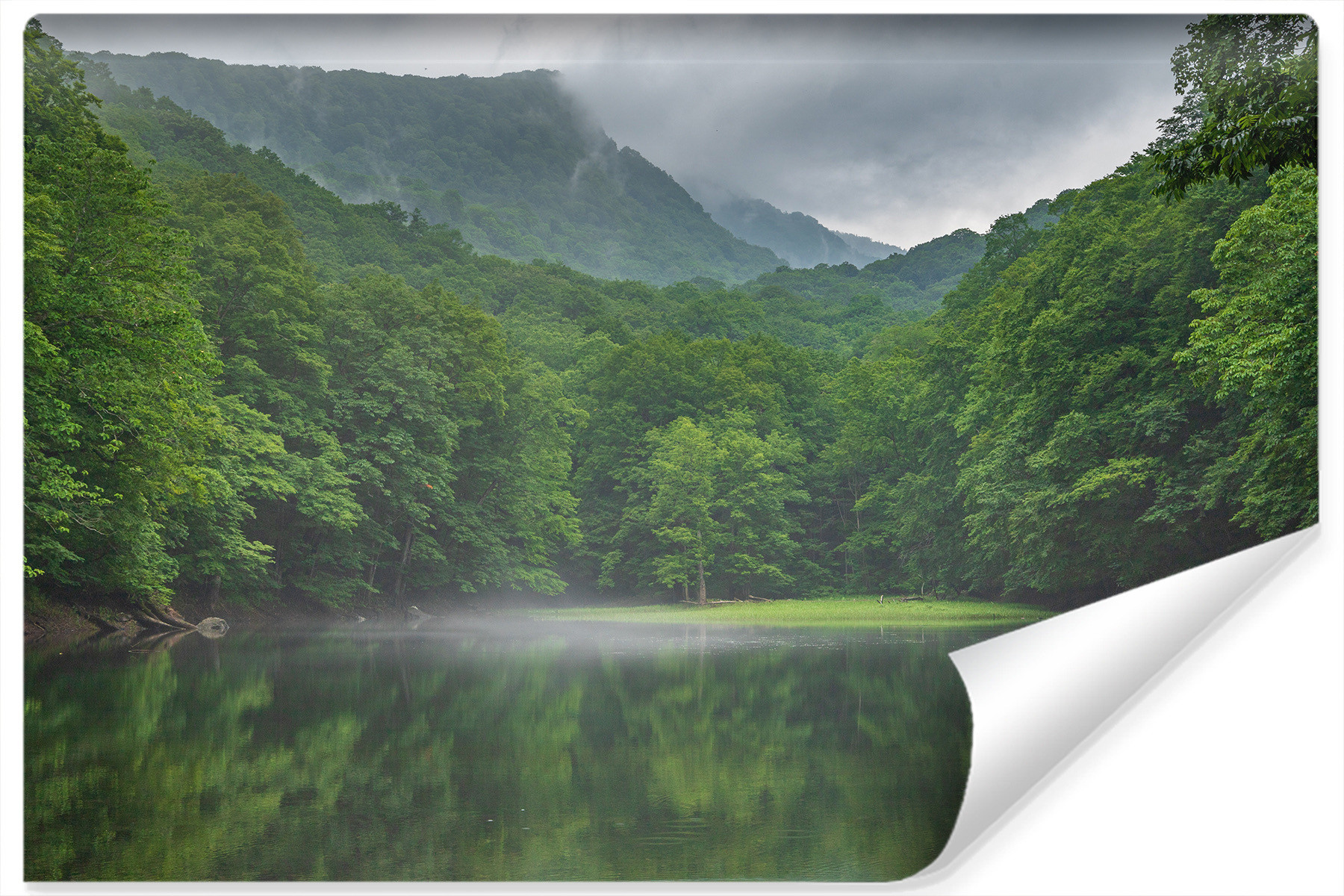 Fototapeta Górskie Jezioro LAS Drzewa Mgła 90x60cm