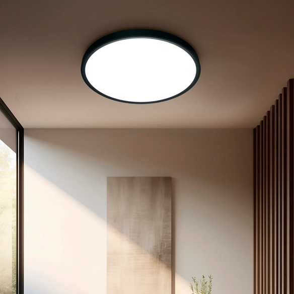 LED-Deckenleuchte »Medora«, rund, Ø: 30 cm, 24 W, 2500 lm, schwarz