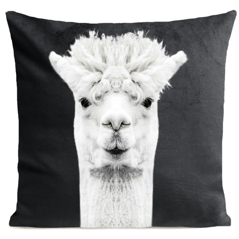- Coussin enfant lama velours gris foncé 40x40cm
