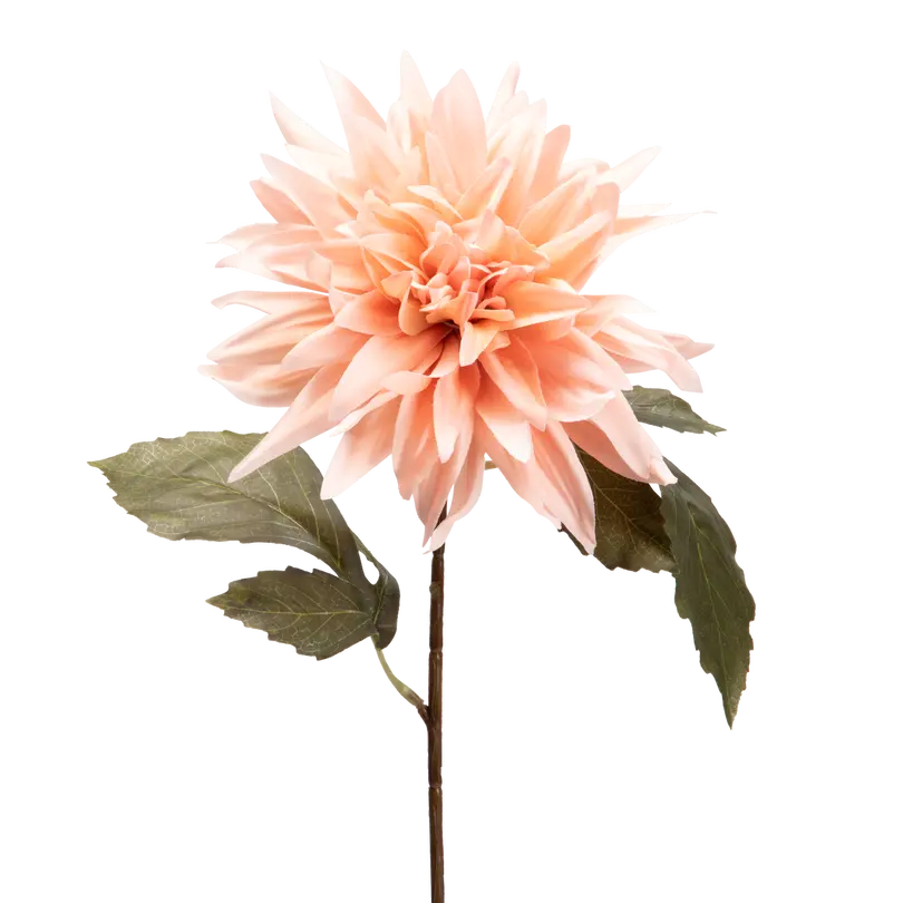 Dekozweig FLORA