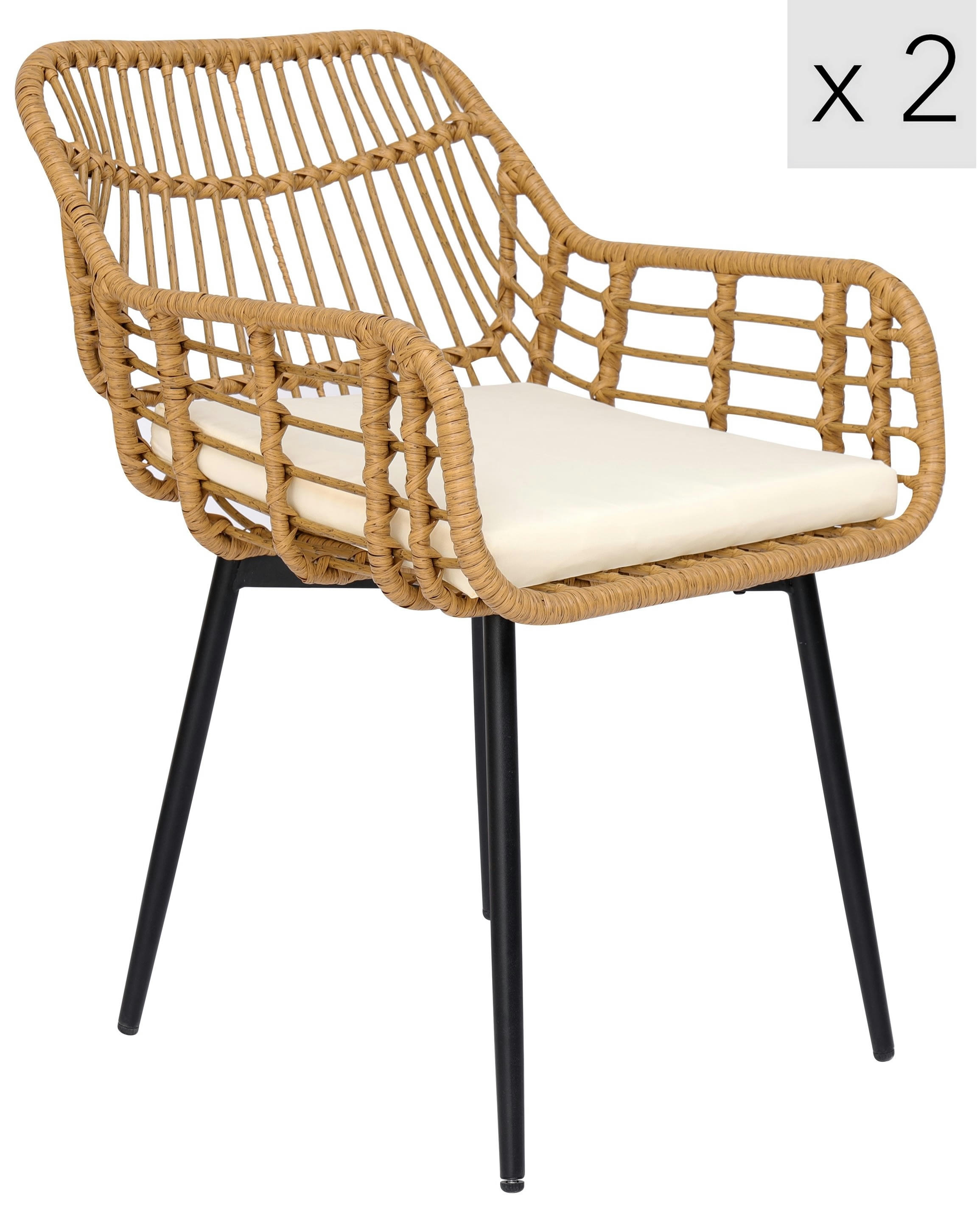 - Lot de 2 chaises en métal et rotin