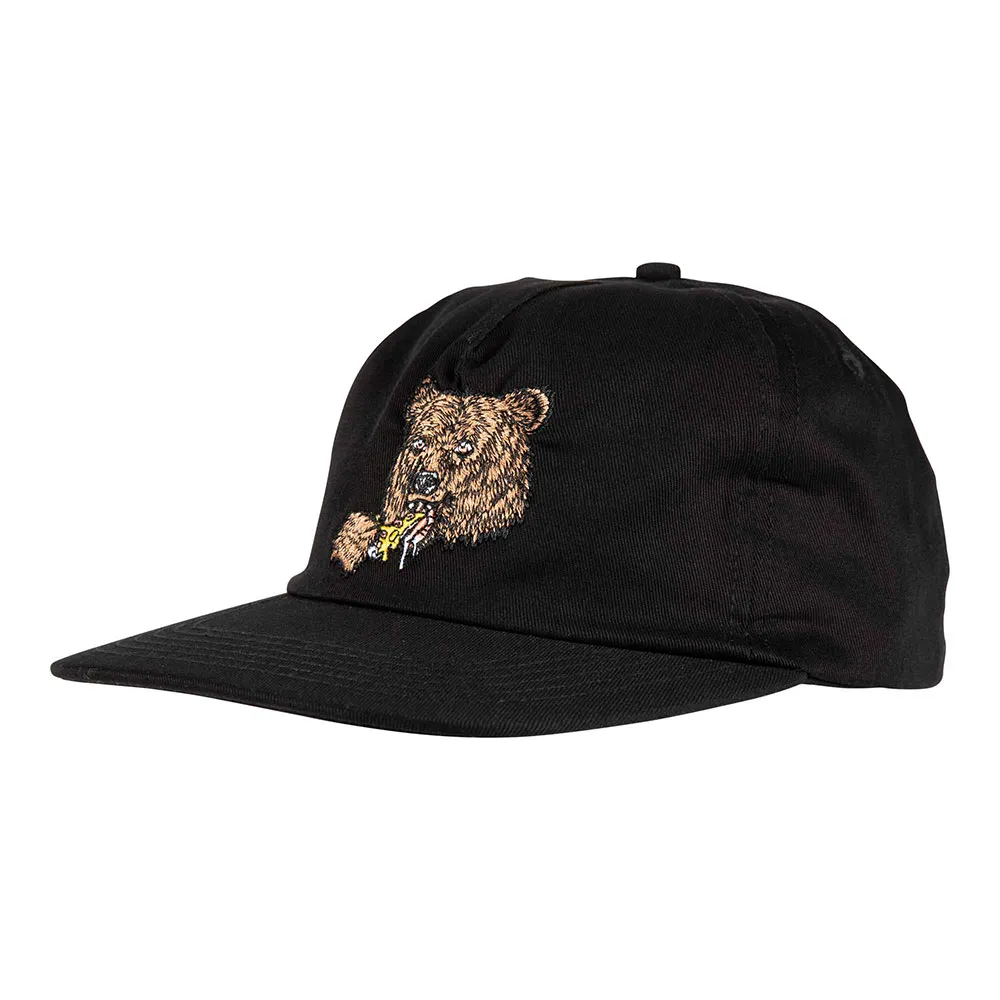 Santa Cruz Braun great outdoors snapback cap