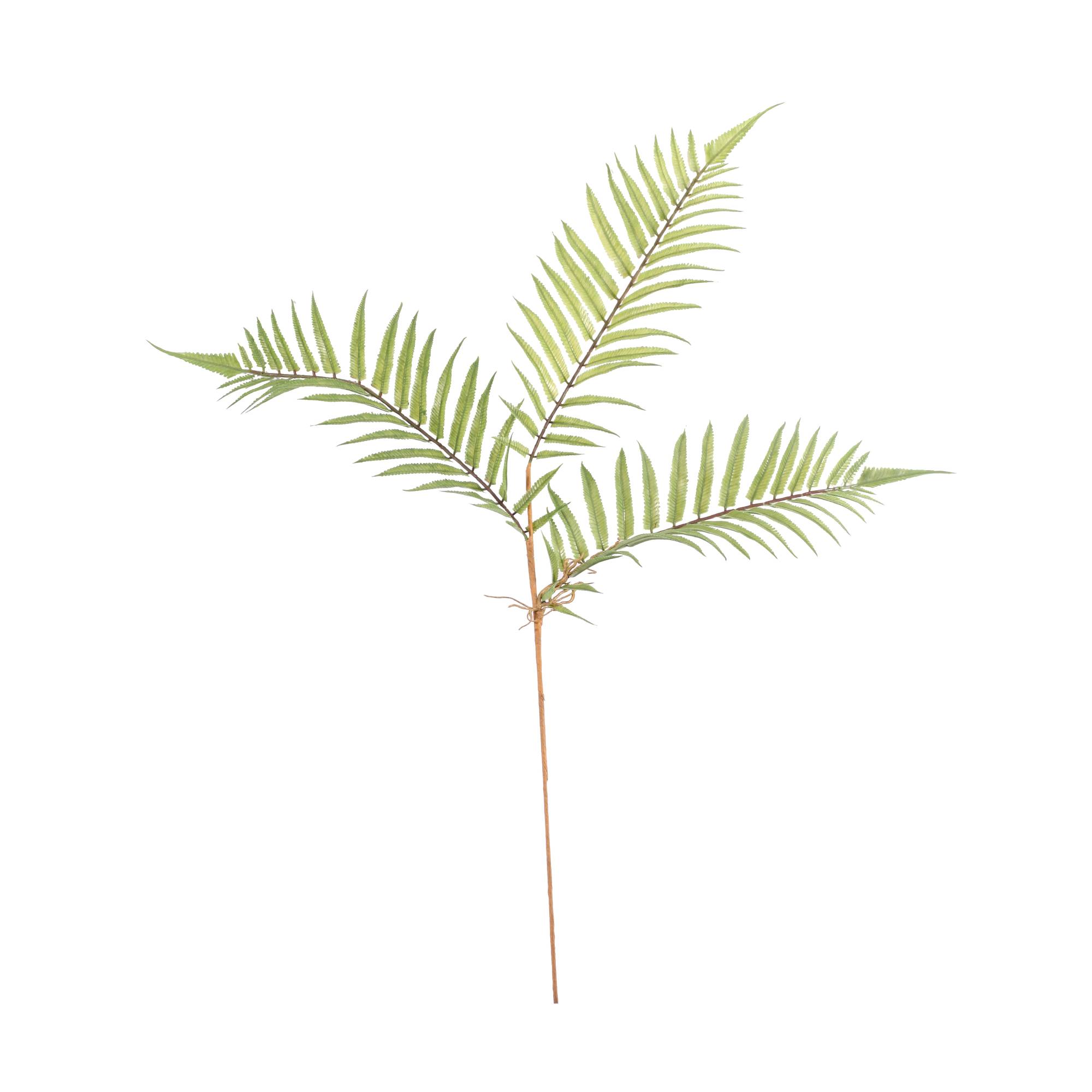 Boston Fern Spray 75cm x 25cm