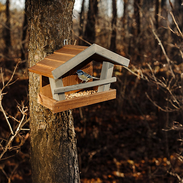 Creative Home Mangeoire À Oiseaux Vert Brun - Bois Durable Extérieur - Résistante À La Pluie - Pour Mésanges Moineaux