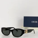 Dior Hollow Logo Sunglasses