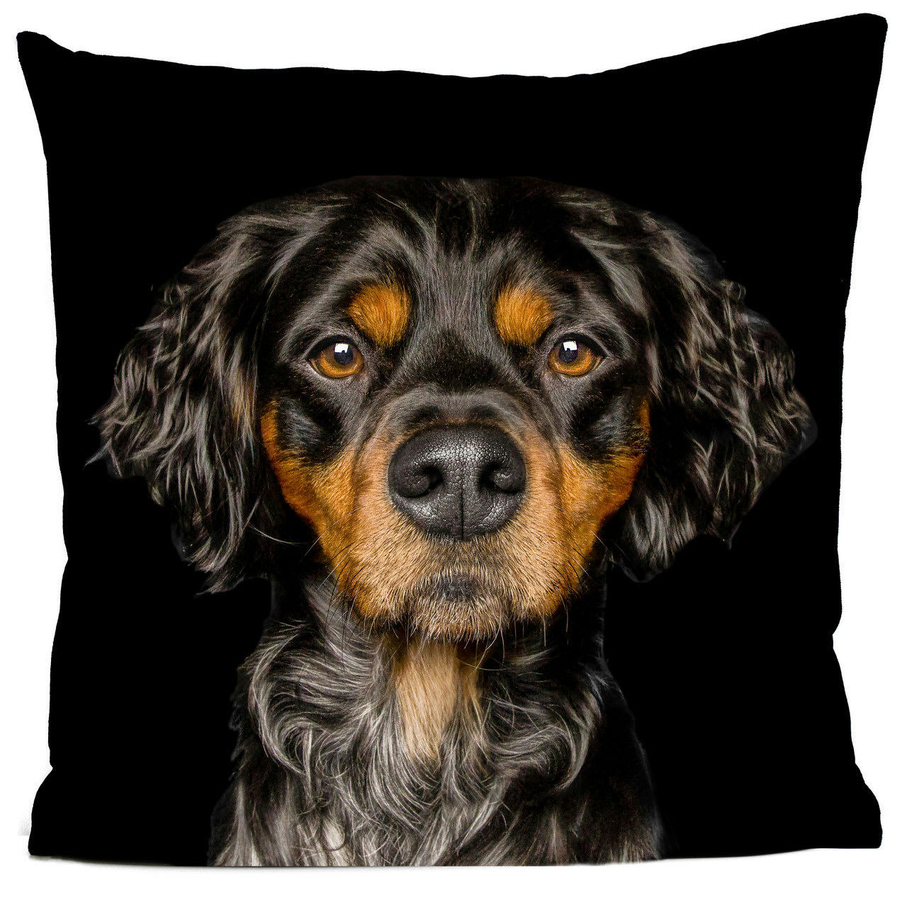 - Coussin chien epagneul breton suédine noir 40x40cm