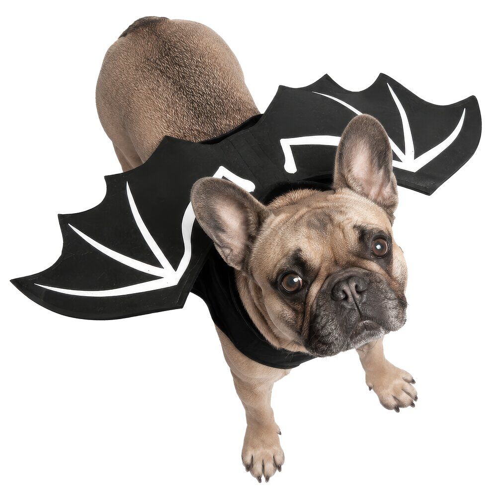 Déguisement chien Halloween ailes de chauve-souris noir S/M