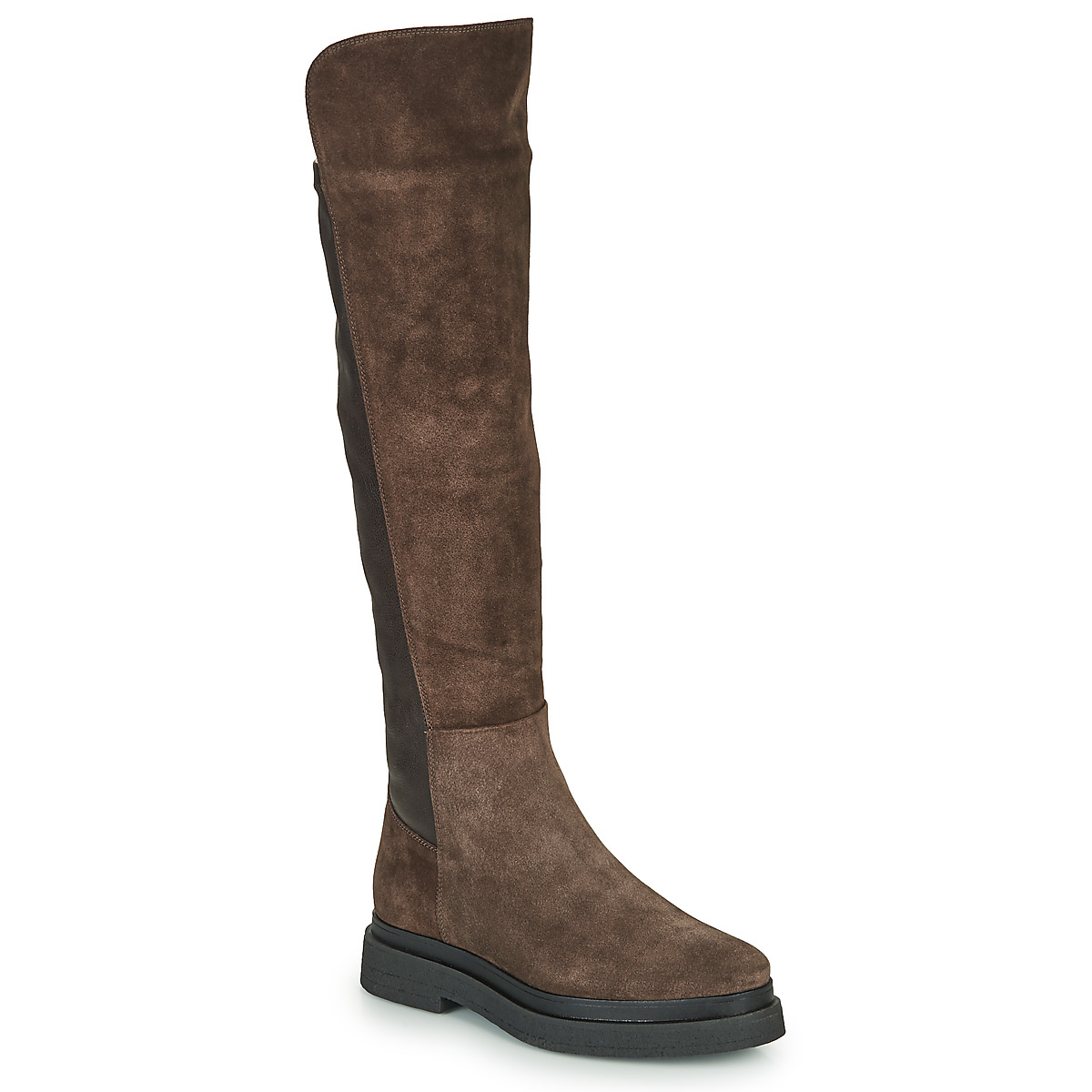 JB Martin - OLYMPE - Crust / Brown / Canvas / Brown