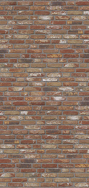 Panneau mural de salle de bains l.100 x H.210 cm, effet brique industrielle rouge, Schulte Décodesign vendu par 2
