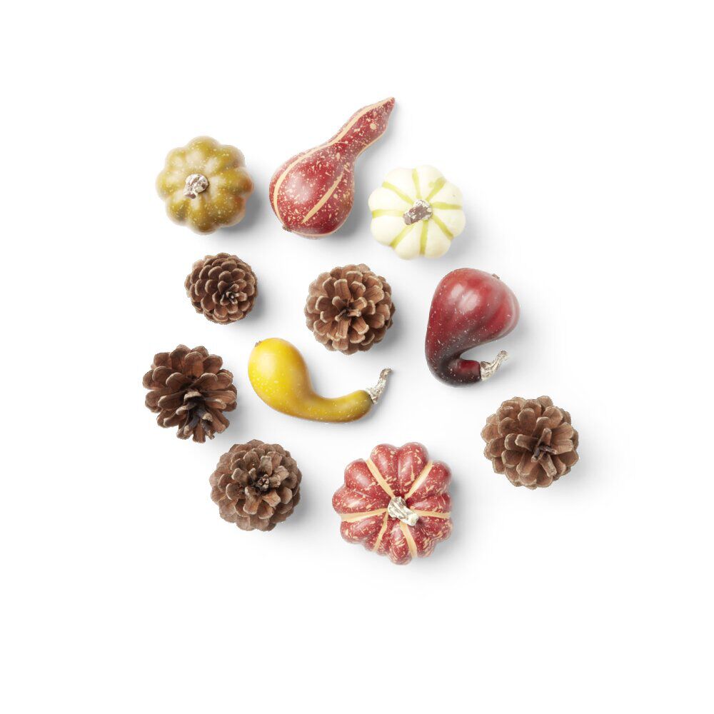Lot éléments décoration automne plastique 3 modèles