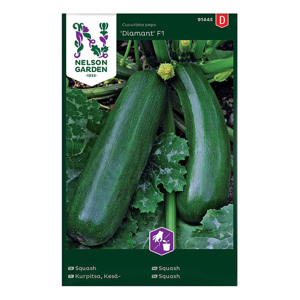 GRØNNSAKSFRØ NELSON GARDEN SQUASH DIAMANT F1