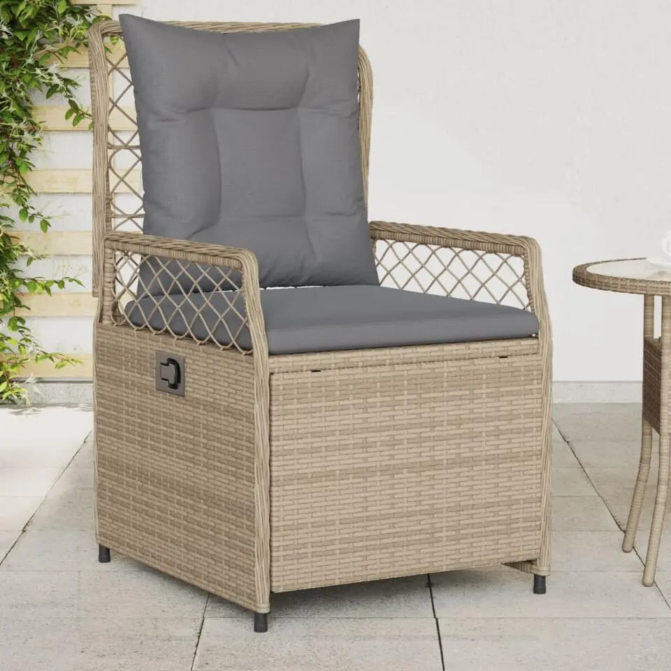 vidaXL - Tuinstoel - Beige - Poly rattan