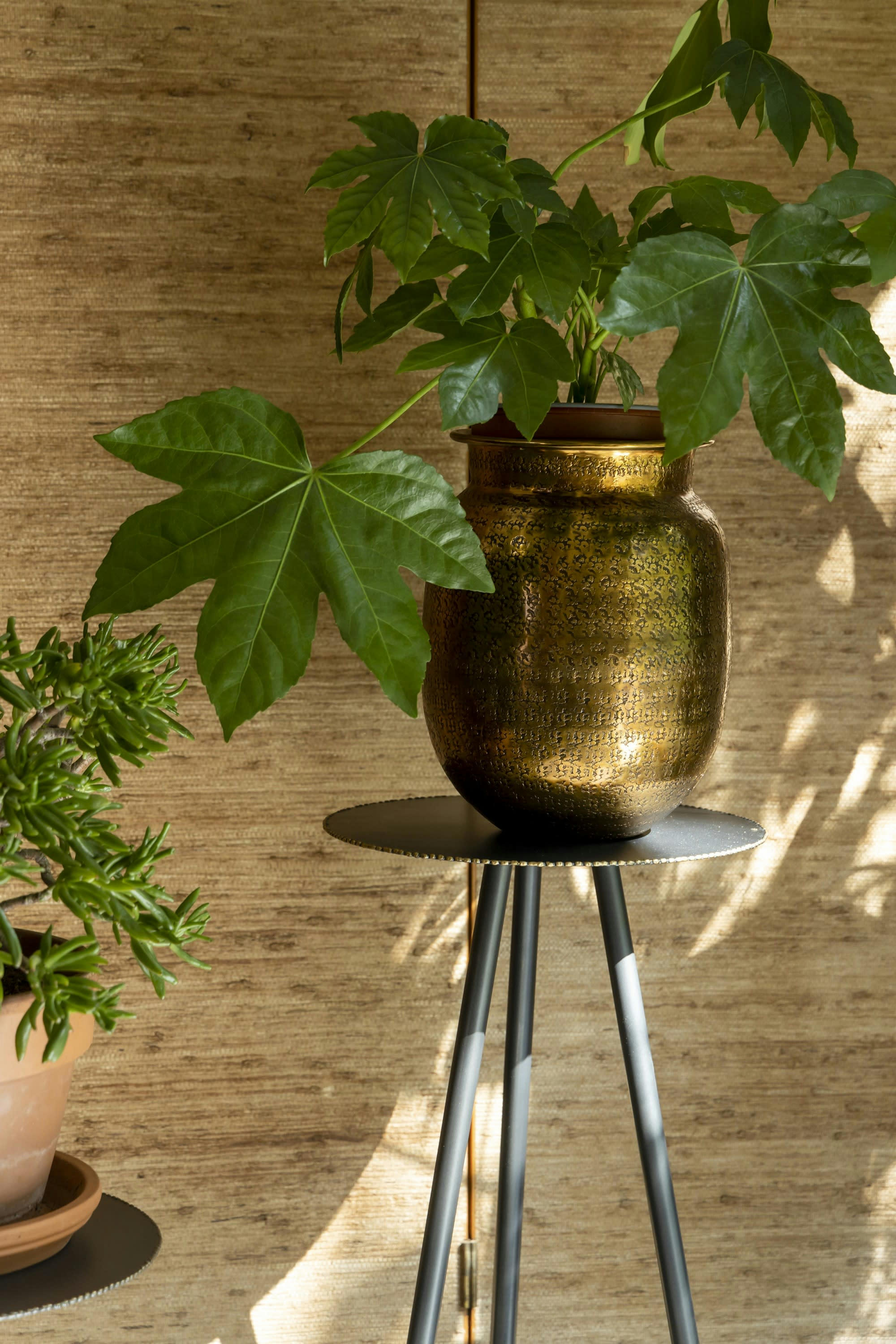 STALWART - Set de 2 tables pour plantes en métal noir