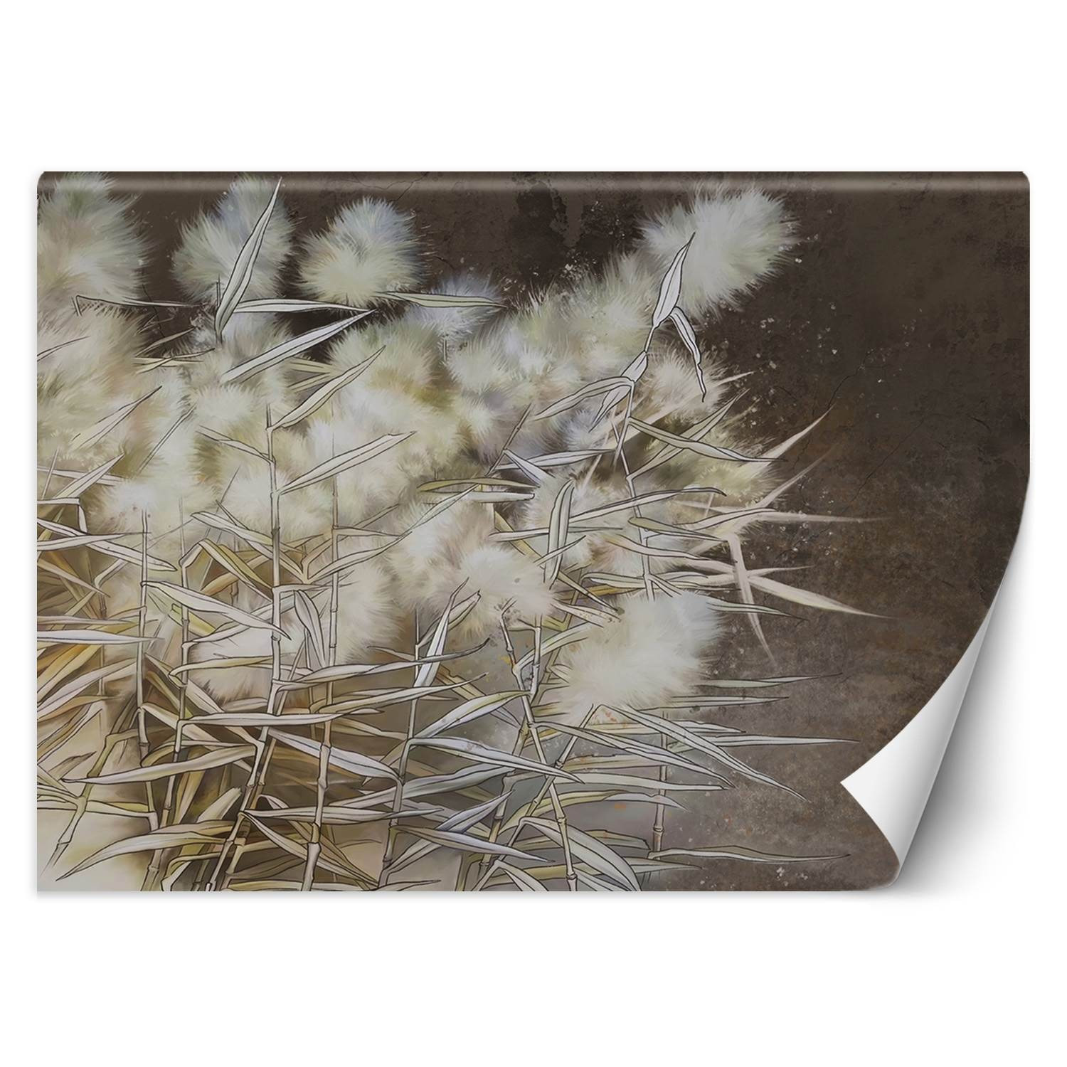 Feeby Fototapeta, Trawa pampasowa boho 150x105