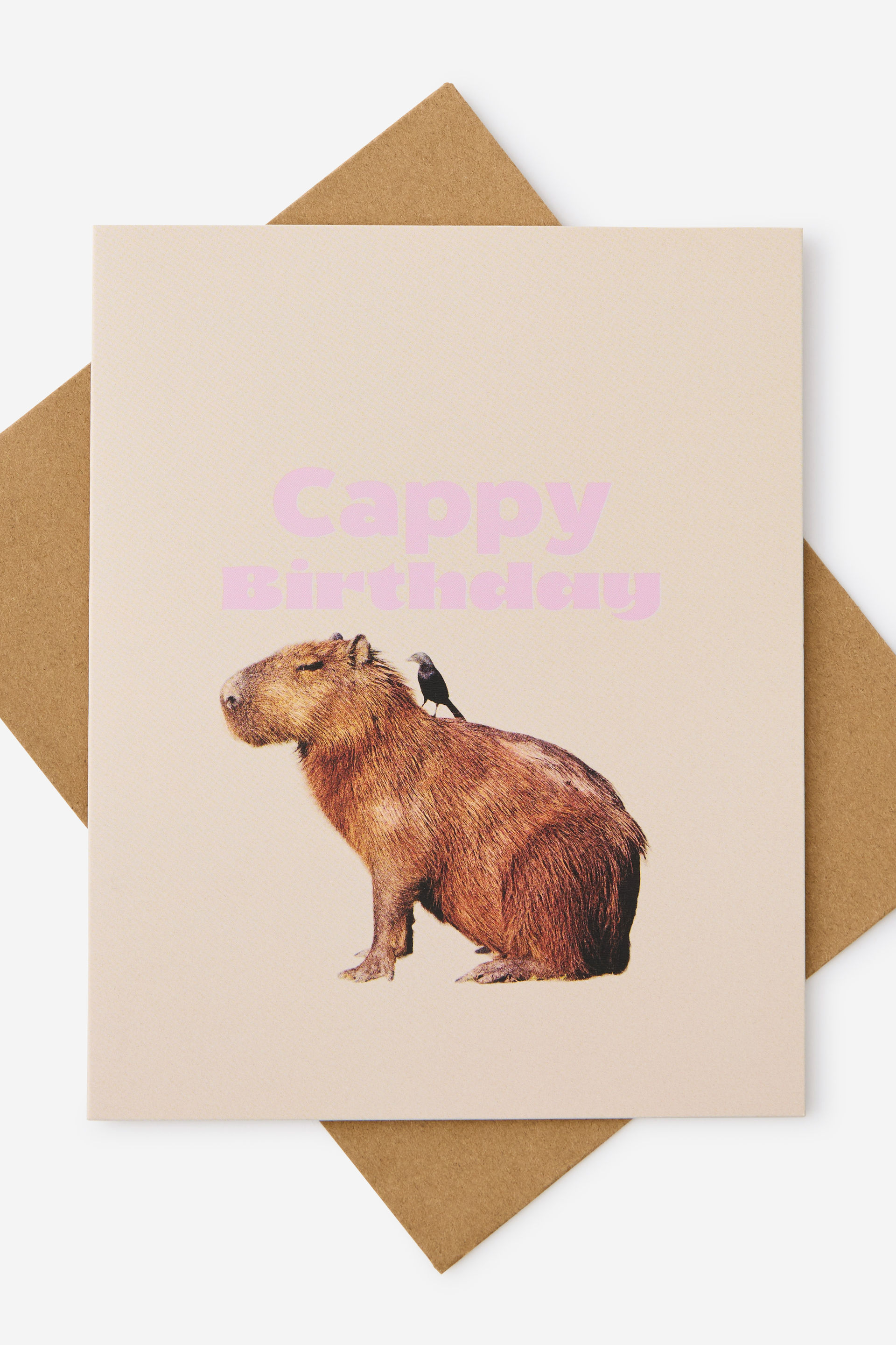 Funny Birthday Card