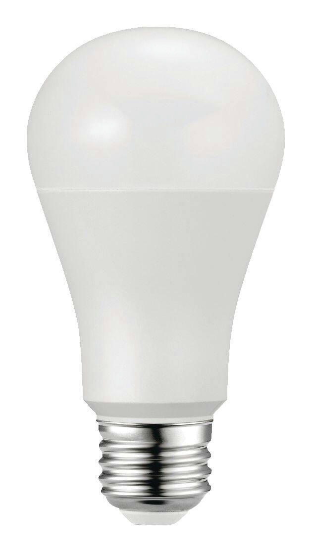 NOMA A19 E26 Base Non-Dimmable LED Light Bulbs, 2700K, 1550 Lumens, Warm White, 100W, 2-pk